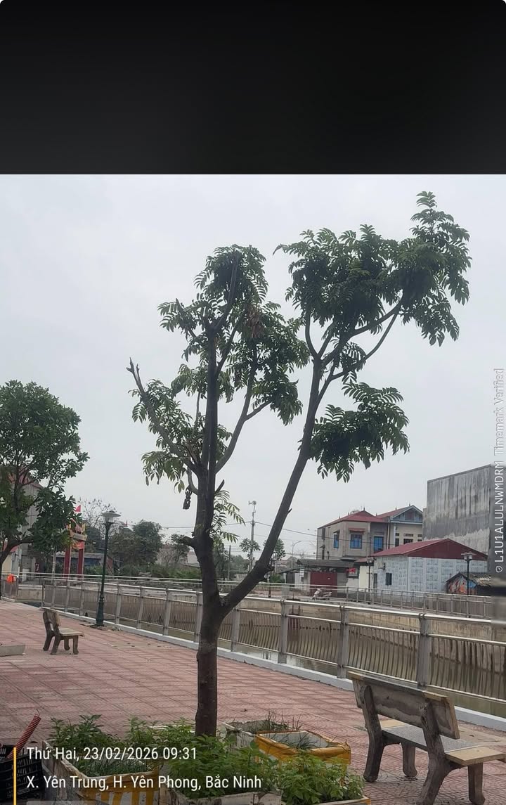 Đất nền Yên Trung, Yên Phong 95m² - Sổ đỏ sẵn sàng, gần KCN