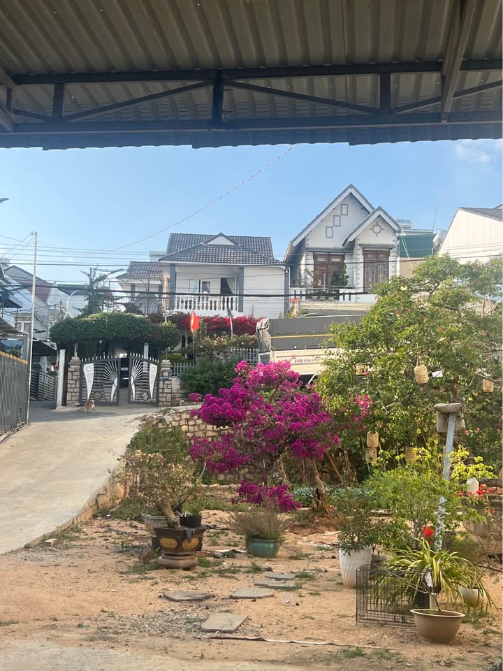 Bán đất Kim Đồng Đà Lạt 449m² - Sổ hồng sẵn, đường ô tô 10m