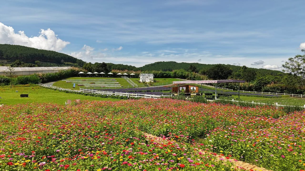 Sang nhượng quán cafe check-in Tà Nung 15.000m² - Vị trí đắc địa