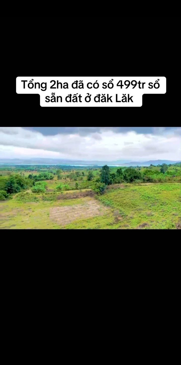 Bán đất Farm 20.000m² Sổ Đỏ Ngay MT 300m Huyện M'Đrắk, Đắk Lắk - Giá 499 Triệu