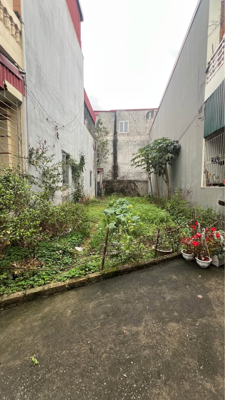 Đất nền Ngõ Phai Vệ, Lạng Sơn 103m² - Đường to ô tô