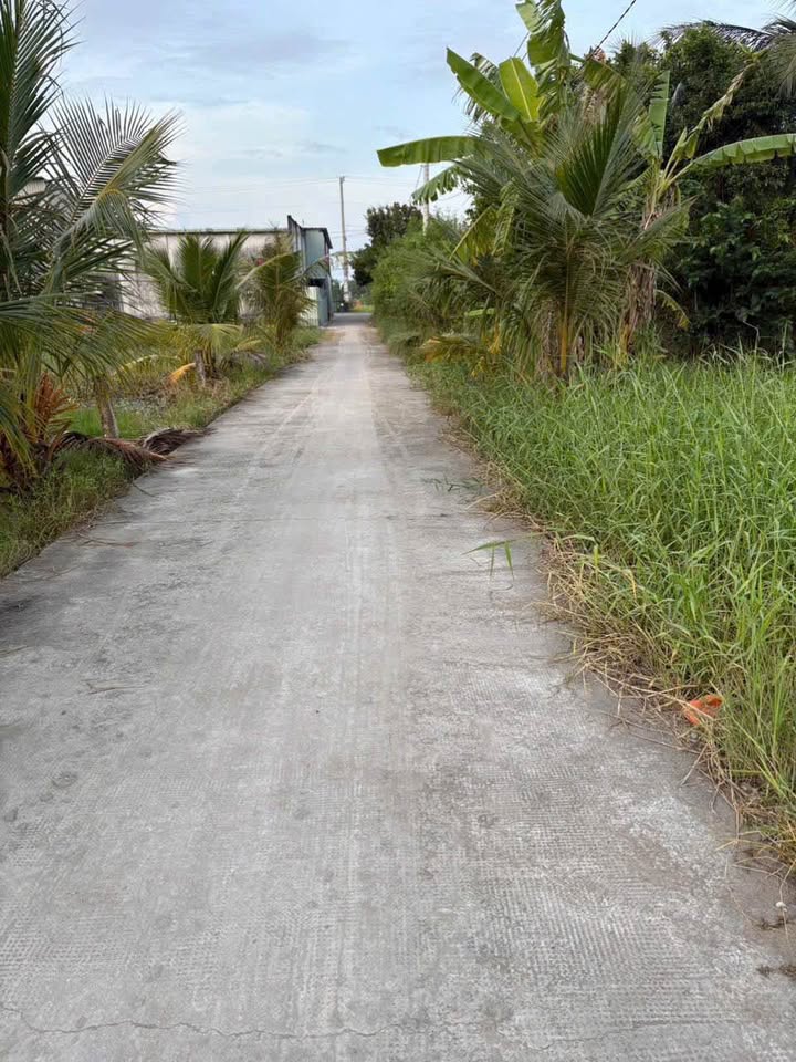 Đất Nền 2 Mặt Tiền Đức Tân, Tân Trụ - 130m² Giá 499 Triệu