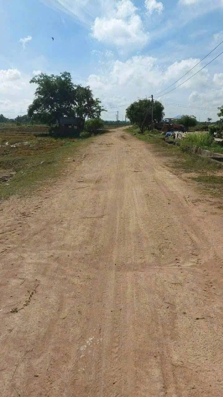 Bán Đất 4000m² Bình Thuận - Quy Hoạch Cây Lâu Năm, Giá Tốt