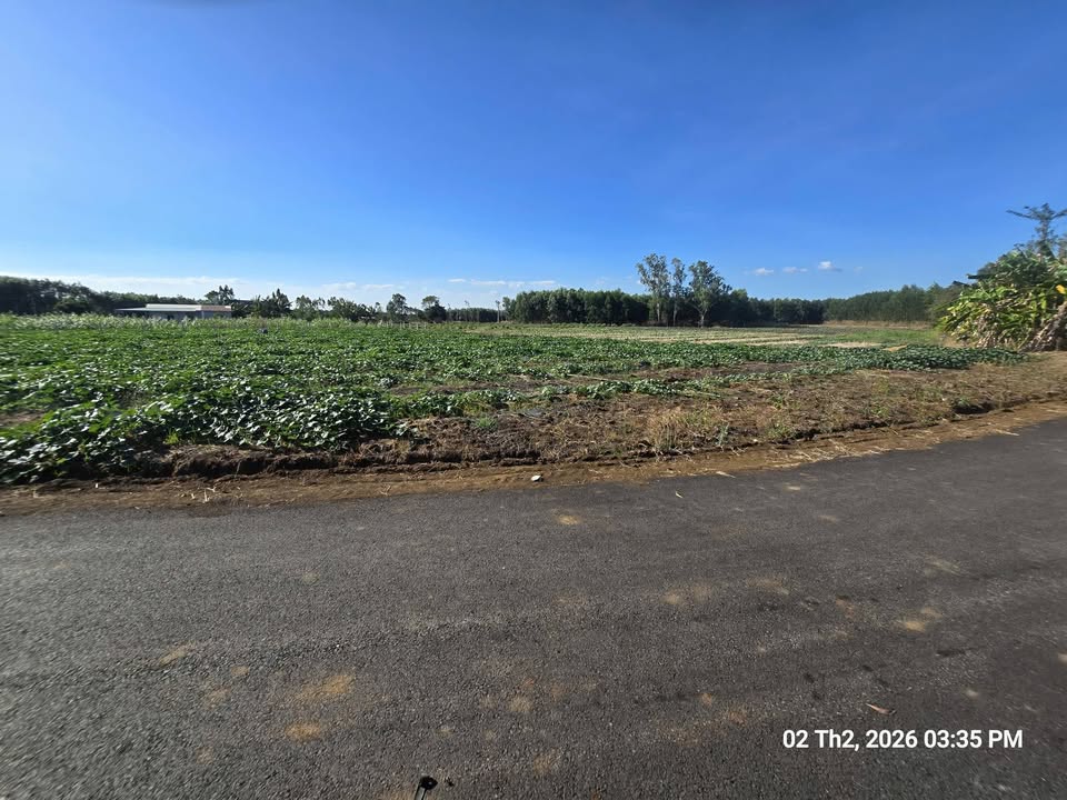 Đất nền Quận 10, TP.HCM 1033m² - Tiềm năng tăng giá vượt trội!