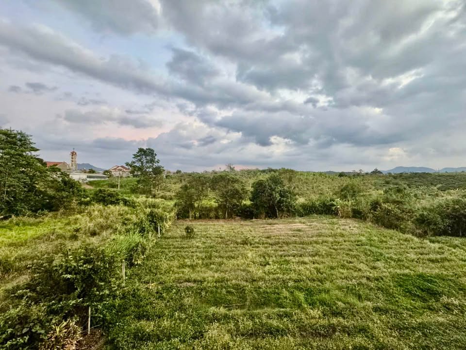 Đất Vườn Bảo Lộc 1080m² - Mặt Tiền Nguyễn Bá Ngọc, Sổ Hồng Sẵn Sàng