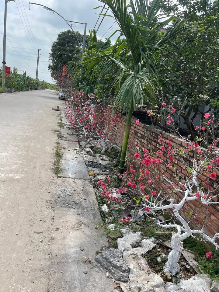 Đất Nền Phú Xuyên 100m² - Lô Góc Vượng Khí, Sổ Đỏ Sẵn Sàng