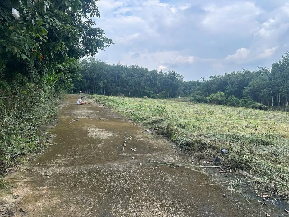 Đất Lộc Tấn, Lộc Ninh 864m² chỉ 320 triệu - Sổ đỏ chính chủ!