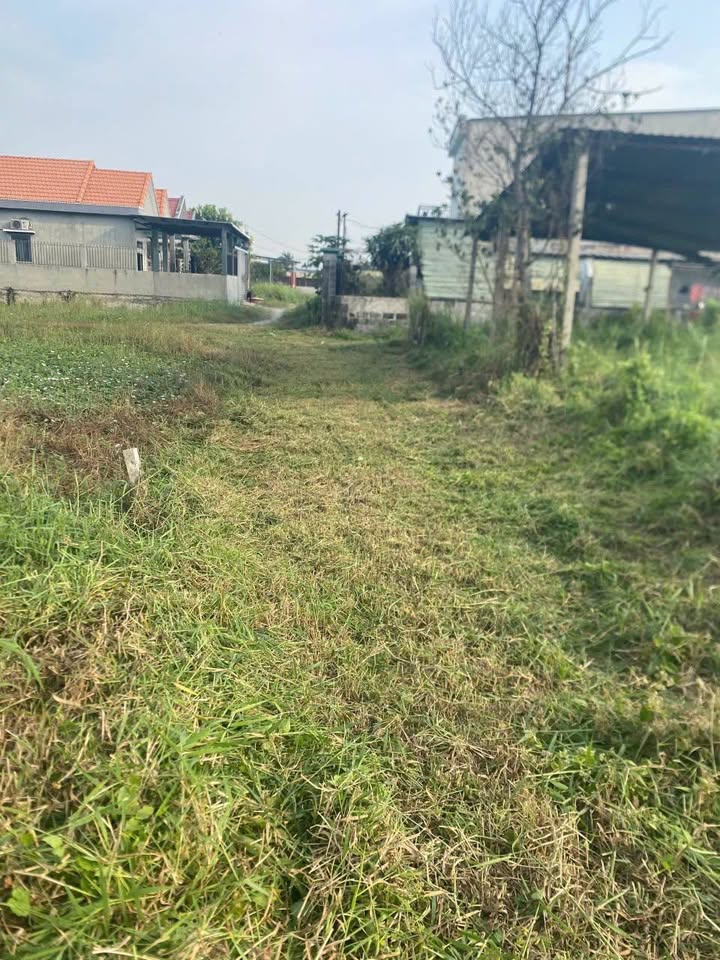 Bán đất thổ cư Sổ hồng 160m² Đức Hòa Đông - Giá 1.15 tỷ