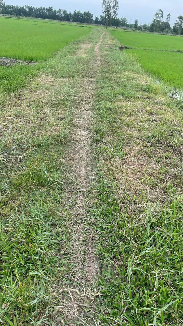 Đất Nền Đức Hòa Long An 10.000m² - Sổ Đỏ Rõ Ràng, Giá Tốt