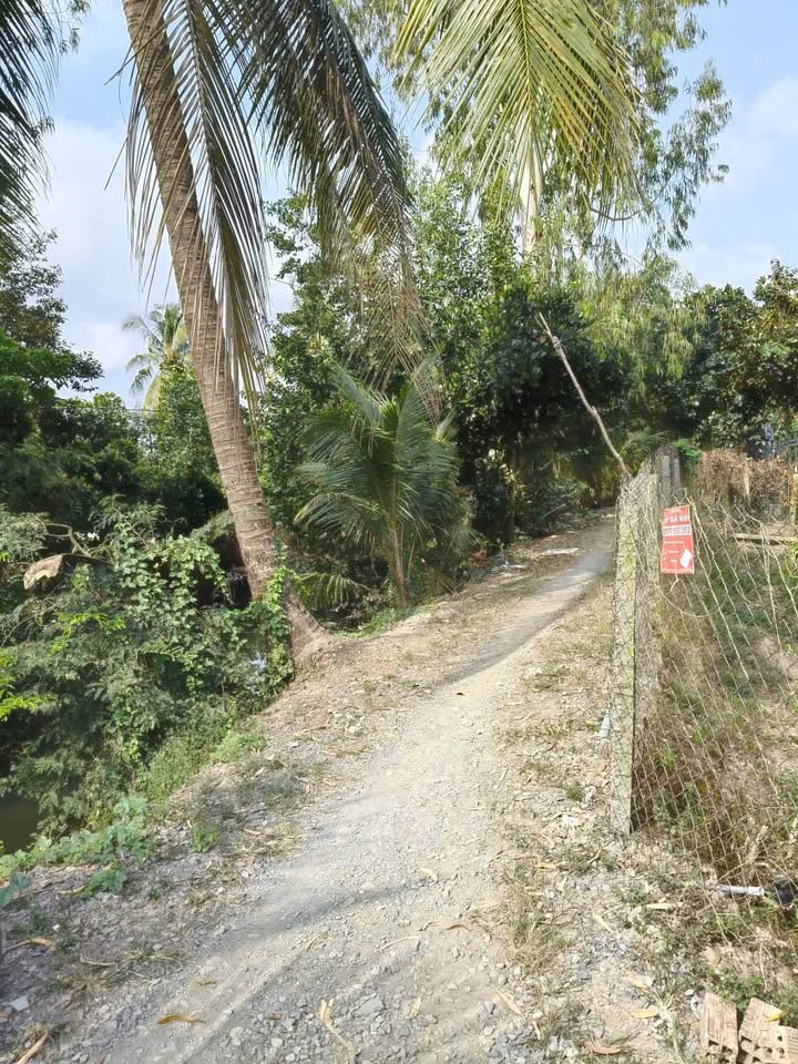 Đất Vườn Mỹ Lợi A Cái Bè 2500m² - Sinh thái xanh, giá 1.8 tỷ!