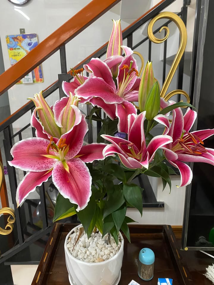 Đất nền Tam Tiến - Sổ đỏ 180m² - View sông, gần biển, giá đầu tư 4xx triệu