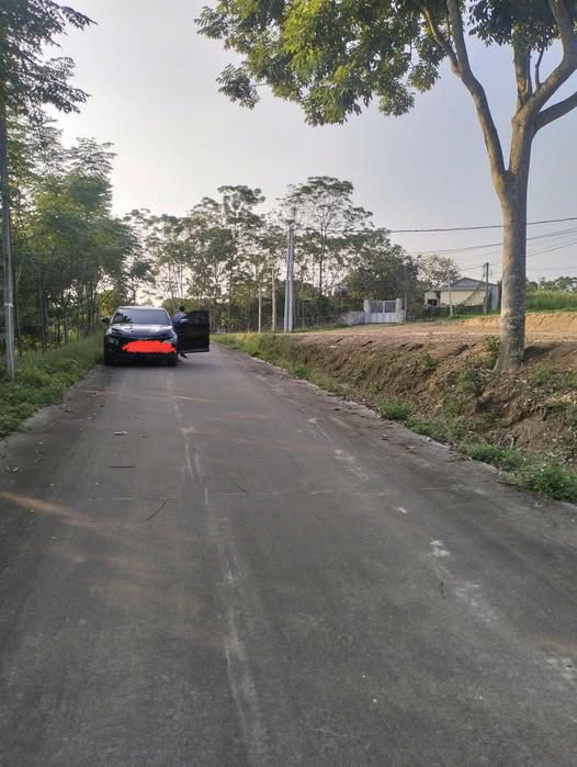 Đất nền Phú Lộc Nho Quan 367m² - Xây dựng tự do, sổ đỏ sẵn!