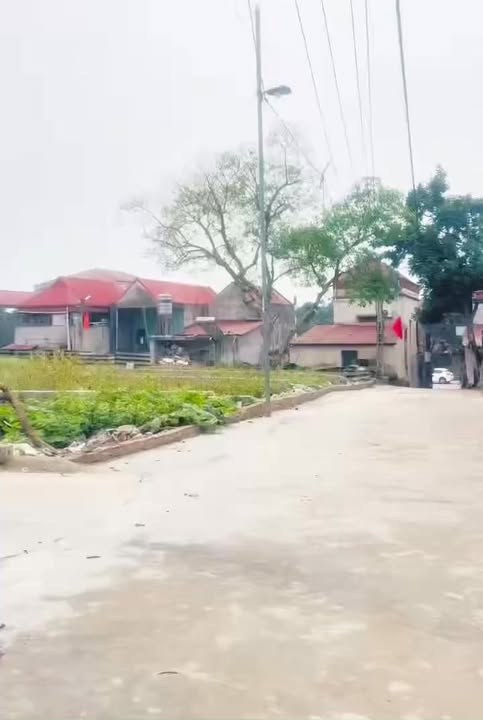 Đất nền Bến Lương Lạng Giang 136.8m² - Sổ đỏ chính chủ, đầu tư sinh lời!