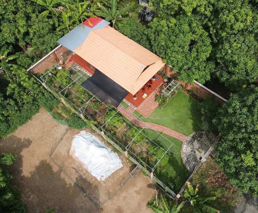 Homestay Nhà Vườn Cao Lãnh 247m² - Nghỉ Dưỡng Lý Tưởng!