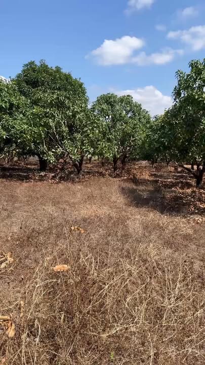 Đất Vườn Diên Khánh 6829m² Giá 6.48 Tỷ - Nghỉ Dưỡng Lý Tưởng!