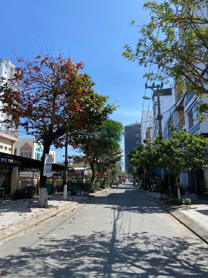 Đất Vàng Sơn Trà 123m² - Trung tâm Đà Nẵng, Giá 9 Tỷ - Lý tưởng Kinh doanh Dịch vụ