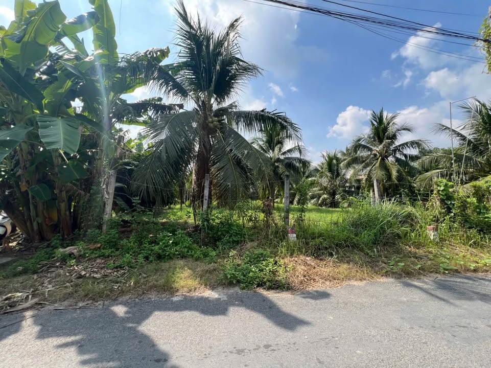 Bán Đất Vườn 945m² Phước Thạnh Bến Tre - Sổ Hồng Sẵn Sàng