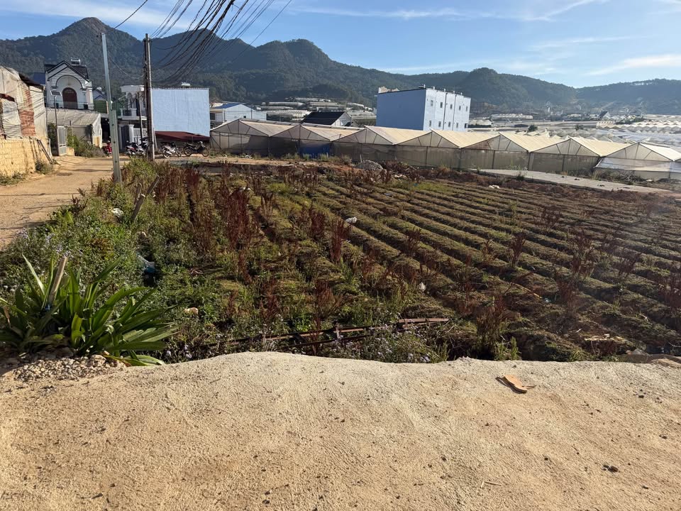 Đất nền Lạc Dương 101m² - Sổ đỏ chính chủ, 2 mặt tiền hiếm có!