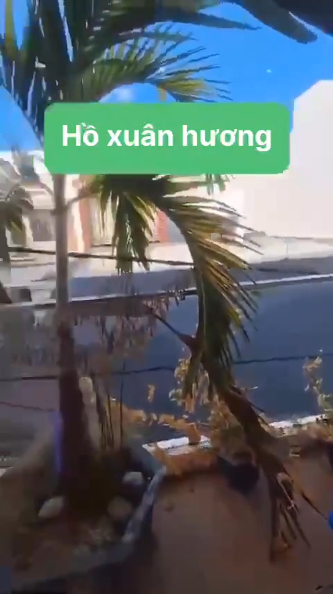 Bán Nhà 3 Tầng Kiệt Hồ Xuân Hương 54m² - Ô Tô Đỗ Cửa - Dòng Tiền 18Tr/Tháng