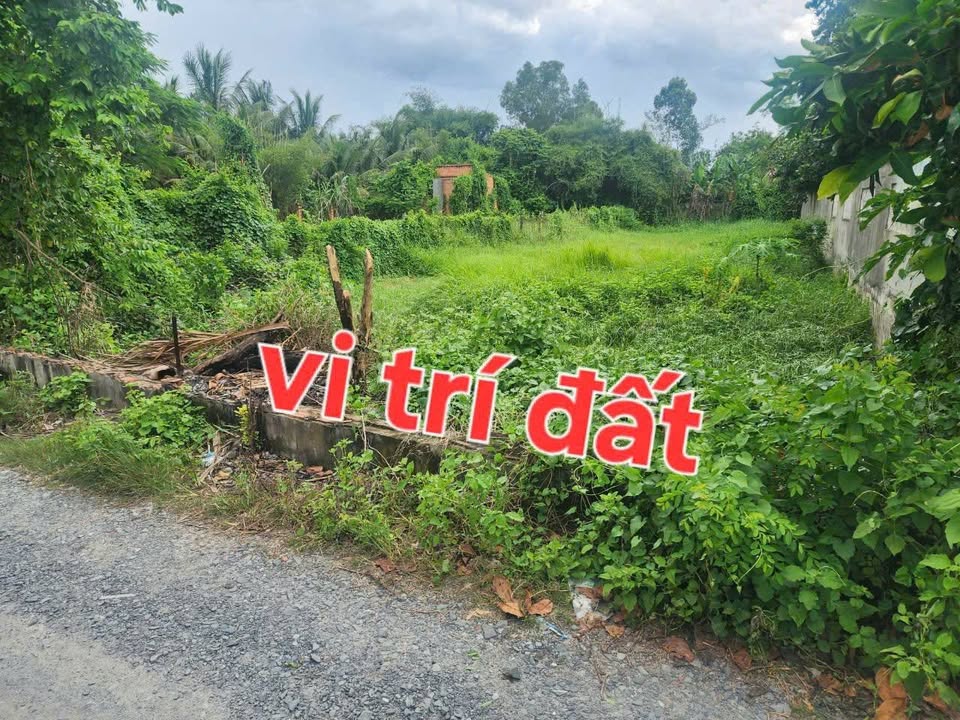 Đất nền Củ Chi 604m² giá 2.9 tỷ - Đường ô tô, sổ đỏ chính chủ!