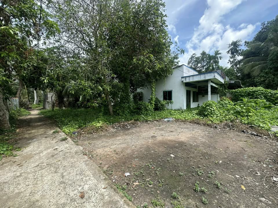 Bán Đất Vườn 300m² Ninh Kiều, Cần Thơ - Sổ Đỏ Chính Chủ, Giá Tốt