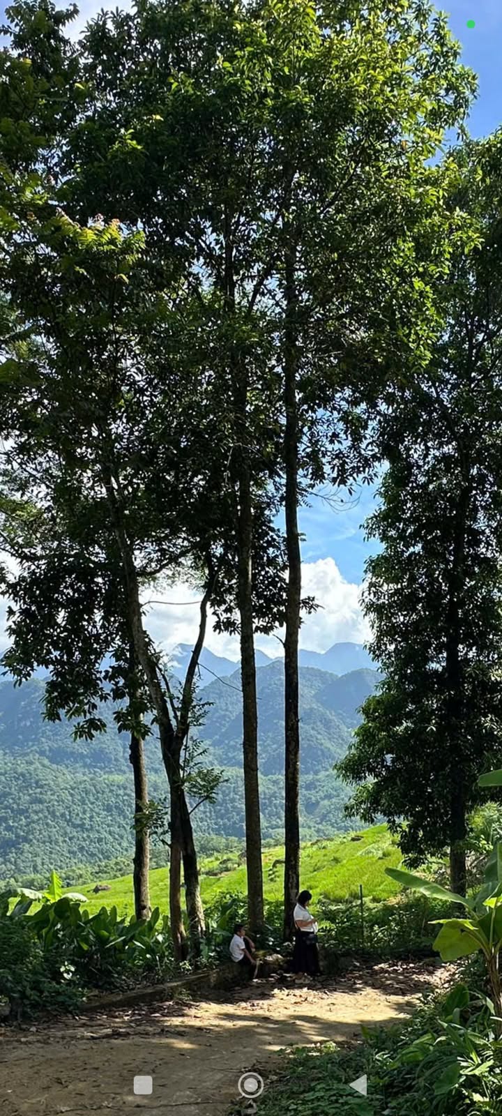 Đất thổ cư Pù Luông 435m² - View ruộng bậc thang triệu đô