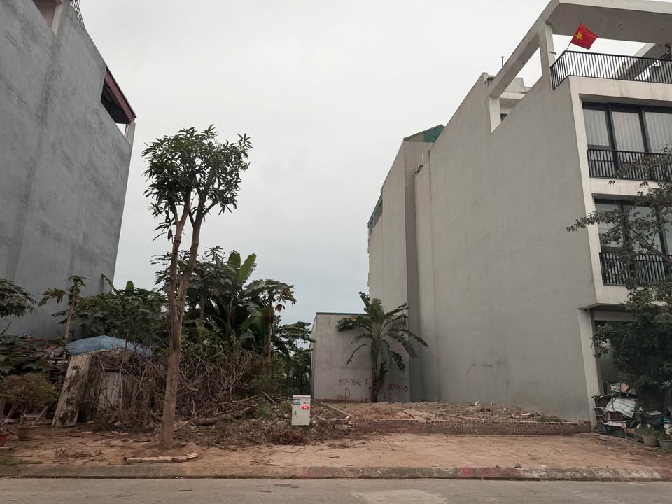 Đất nền Trâu Quỳ Gia Lâm 50m² 12.5 tỷ - Sổ đỏ chính chủ