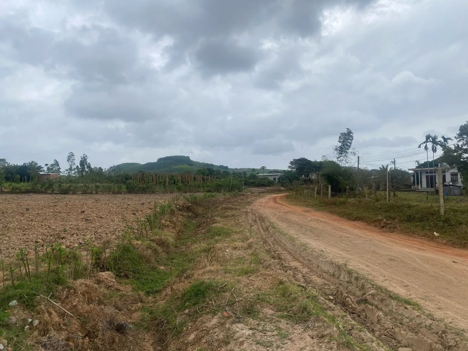 Bán Đất Vụ Bổn Krông Pắc 1.4ha - Sẵn Điện Nước, 400m² Thổ Cư