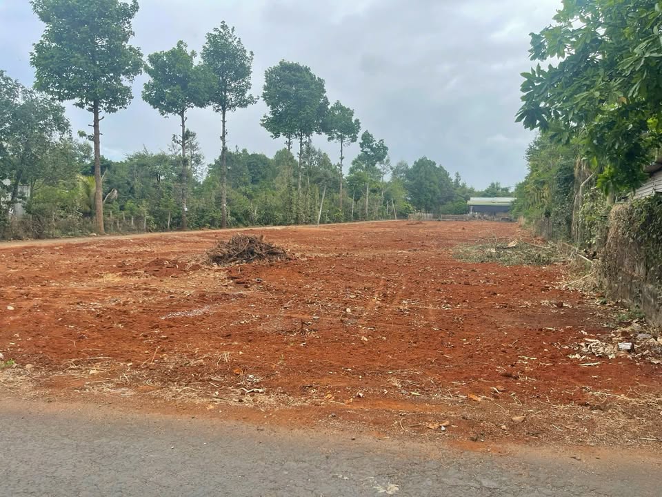 Đất Nền Cư Suê Cư M'gar 140m² 799 Triệu - Sổ Đỏ Sẵn Sàng!