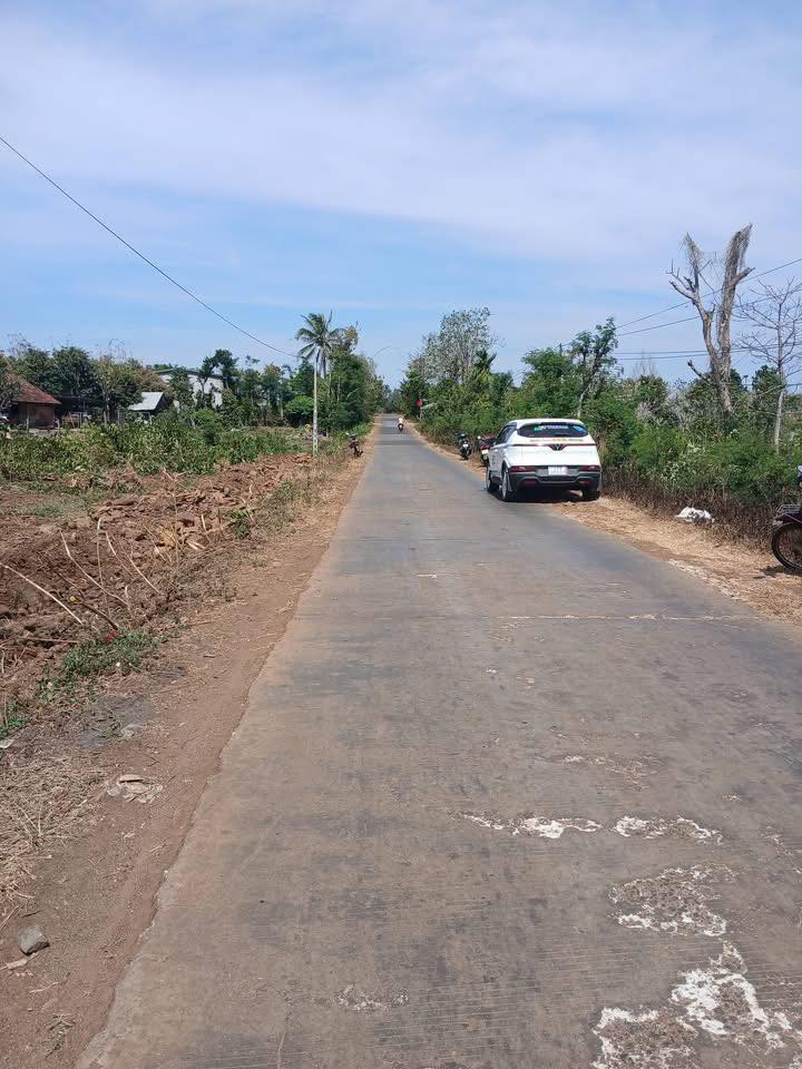 Đất nền Buôn Phê Krông Pắc 250m² 600 triệu - Giá F0 CĐT!