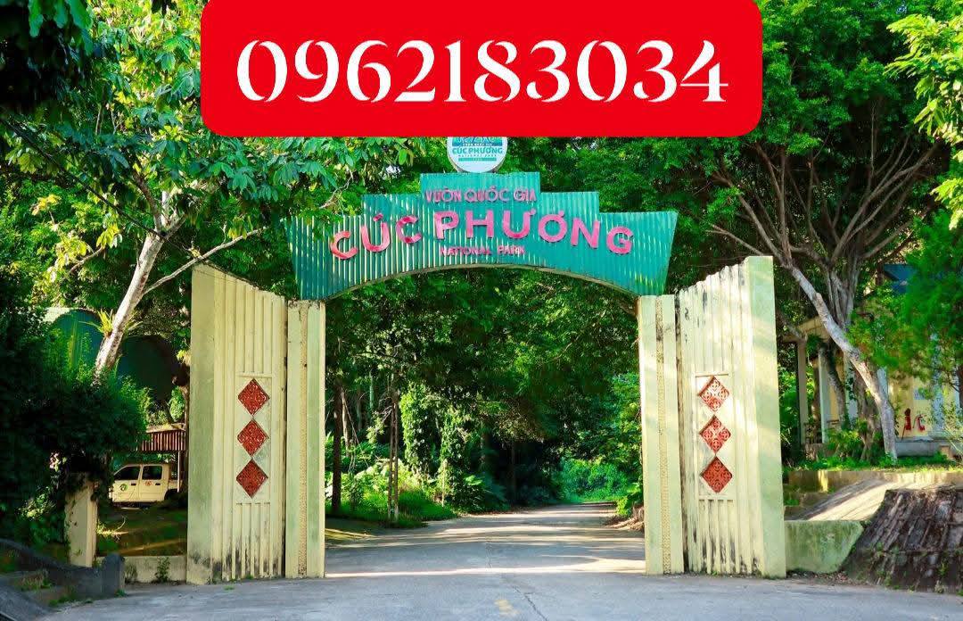 Đất Văn Phương Nho Quan 200m² 3 tỷ - Sổ đỏ chính chủ