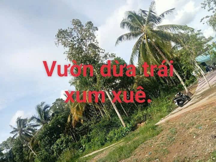 Đất Vĩnh Long 1050m² Sổ Đỏ - Giá 800 Triệu Tại Long Phước