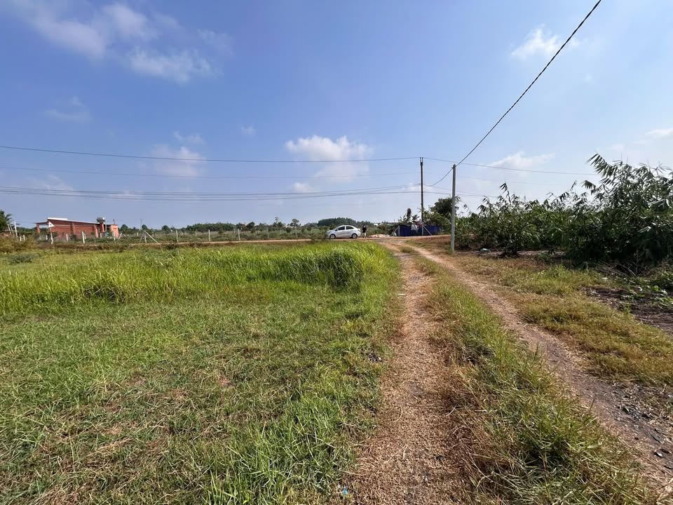 Đất nền Phước Ninh, Dương Minh Châu 120m² - Sổ riêng, giá tốt đầu năm