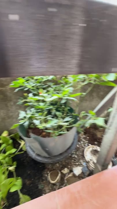 Nhà Ngô Sỹ Liên, Trần Phú 118m² - 1.59 Tỷ, Hướng Tây