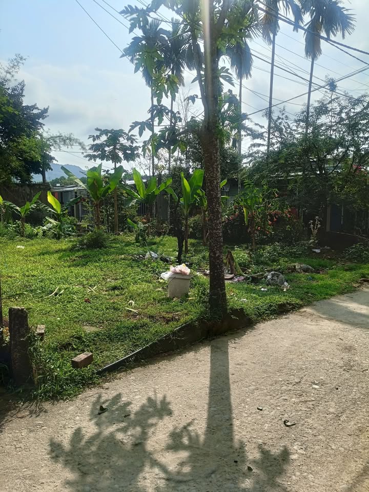 Bán đất Xã Hòa Bắc, Đà Nẵng - 100m², 1.1 tỷ, sổ đỏ sẵn sàng