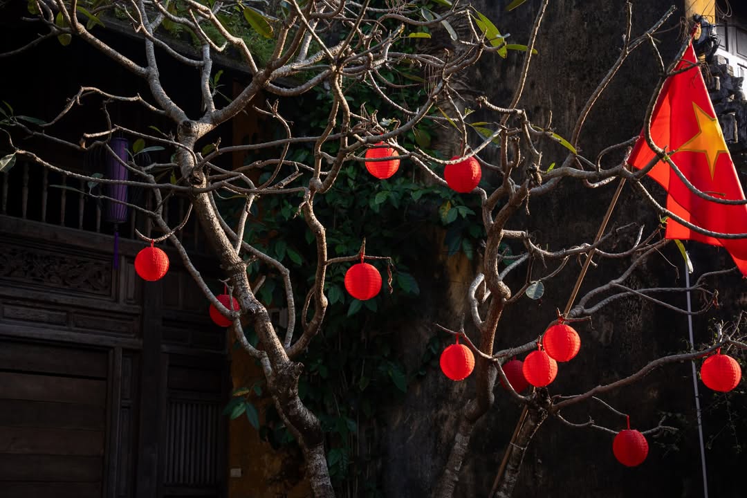 Nhà vườn Hội An 300m² - Sổ hồng sẵn, ô tô vào tận nơi!