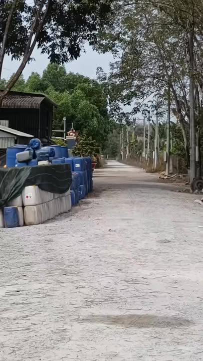 Đất nền Tân Hiệp, Phú Giáo 225m² - Xây dựng tự do, chỉ 6xx triệu!