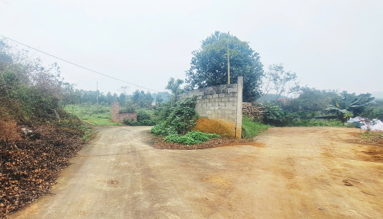 Bán đất Xuân Hòa Lập Thạch 784m² giá 2 tỷ - Sổ đỏ chính chủ