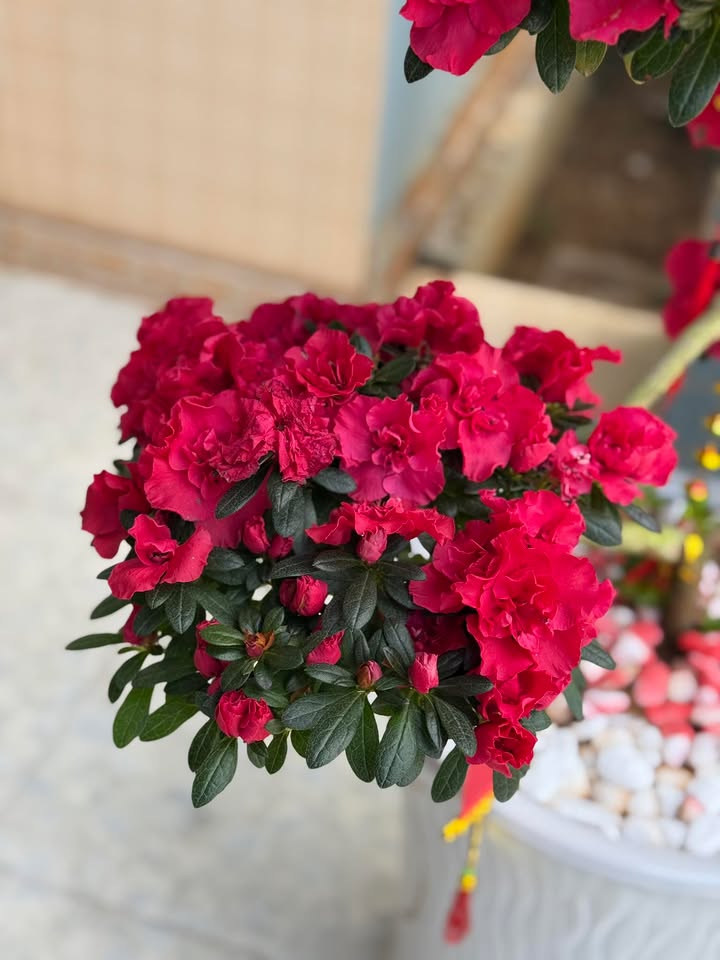 Đất nền Ea Tiêu, Cư Kuin 210m² - Đất thổ cư 100%