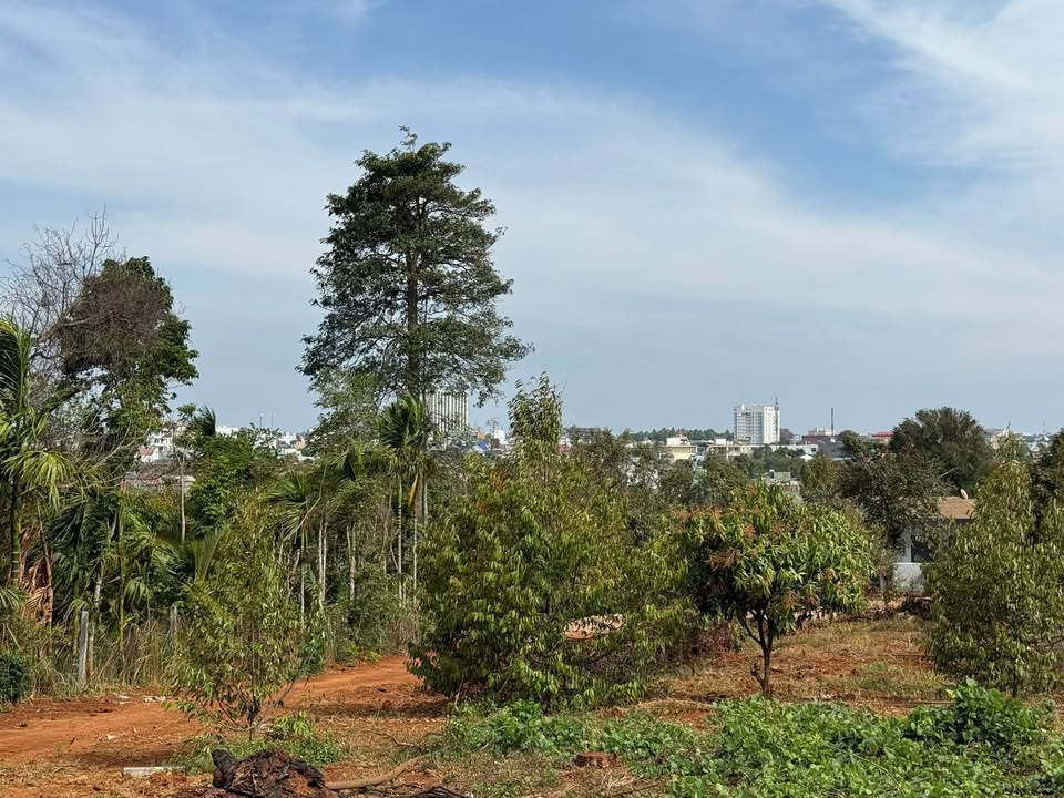 Đất Nền Amajao Nối Dài BMT - 50m², Sổ Đỏ, Giá 2.75 Tỷ, Cơ Hội Đầu Tư Vàng