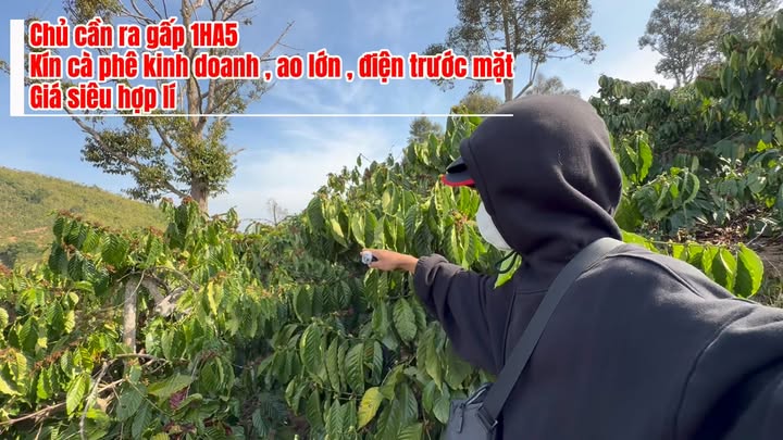 Đất vườn Xã Đăk Săk, Đăk Mil 1.5ha - Đầu tư sinh lời vượt trội!