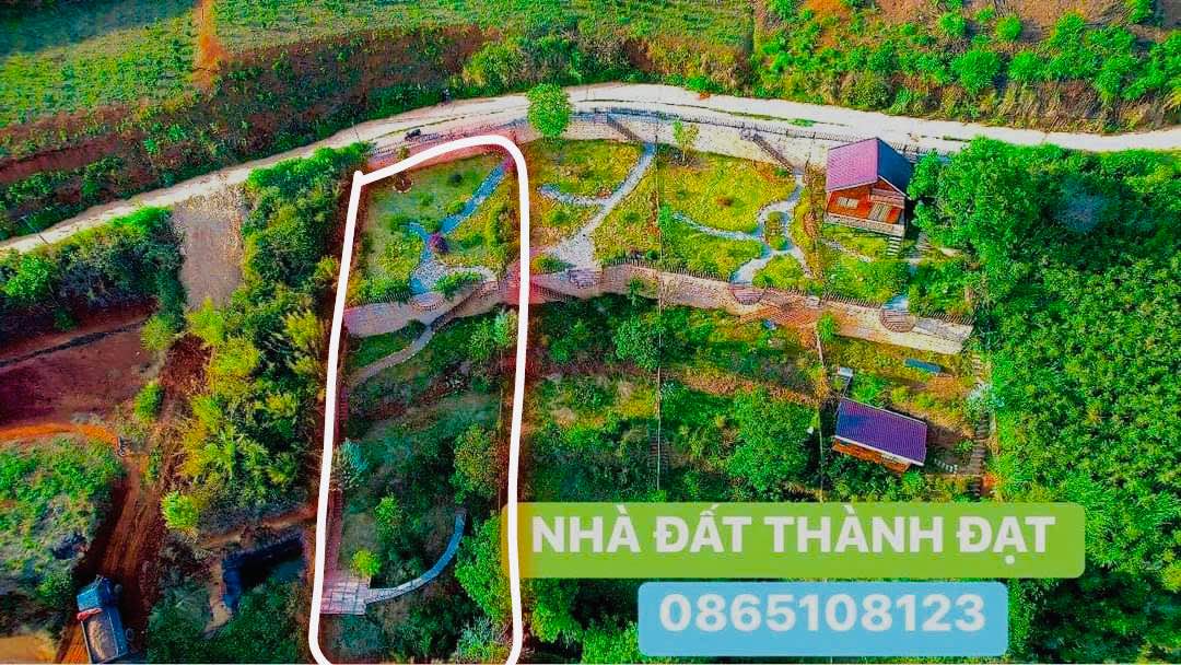 Đất Nền Đà Lạt 800m² - Sổ Đỏ Chính Chủ, View Đẹp!