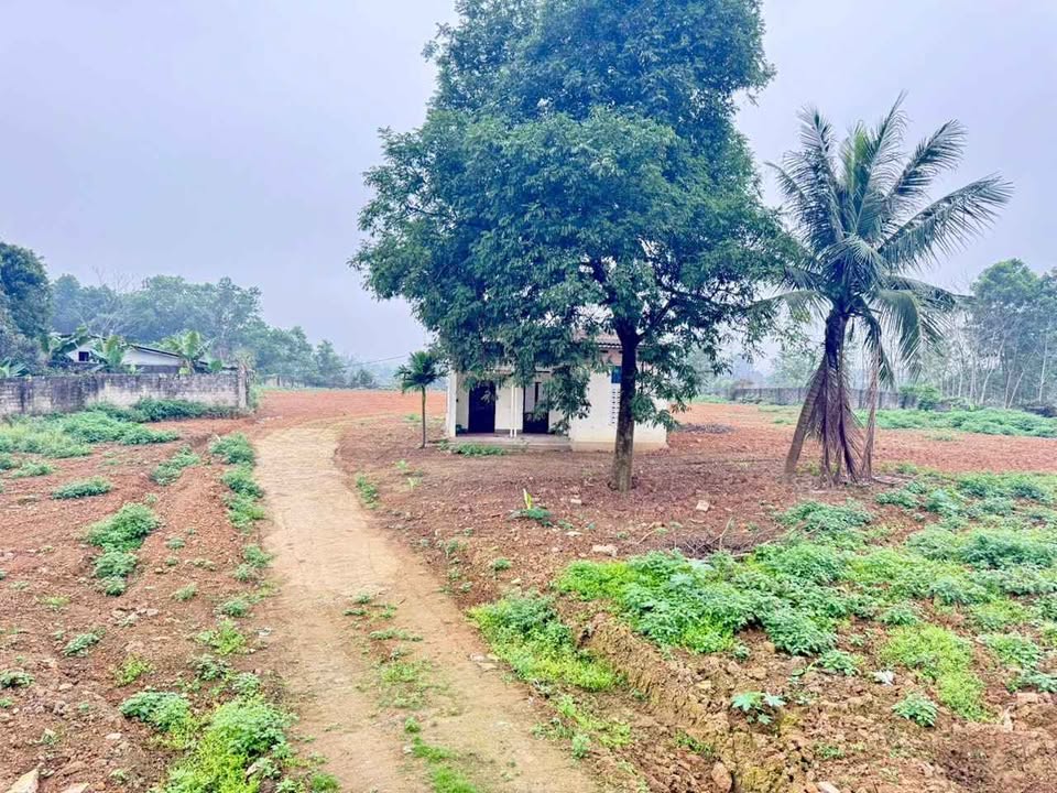 Đất Vườn Ba Vì 6400m² - Sổ Đỏ Rõ Ràng, Giá Đầu Tư Hấp Dẫn