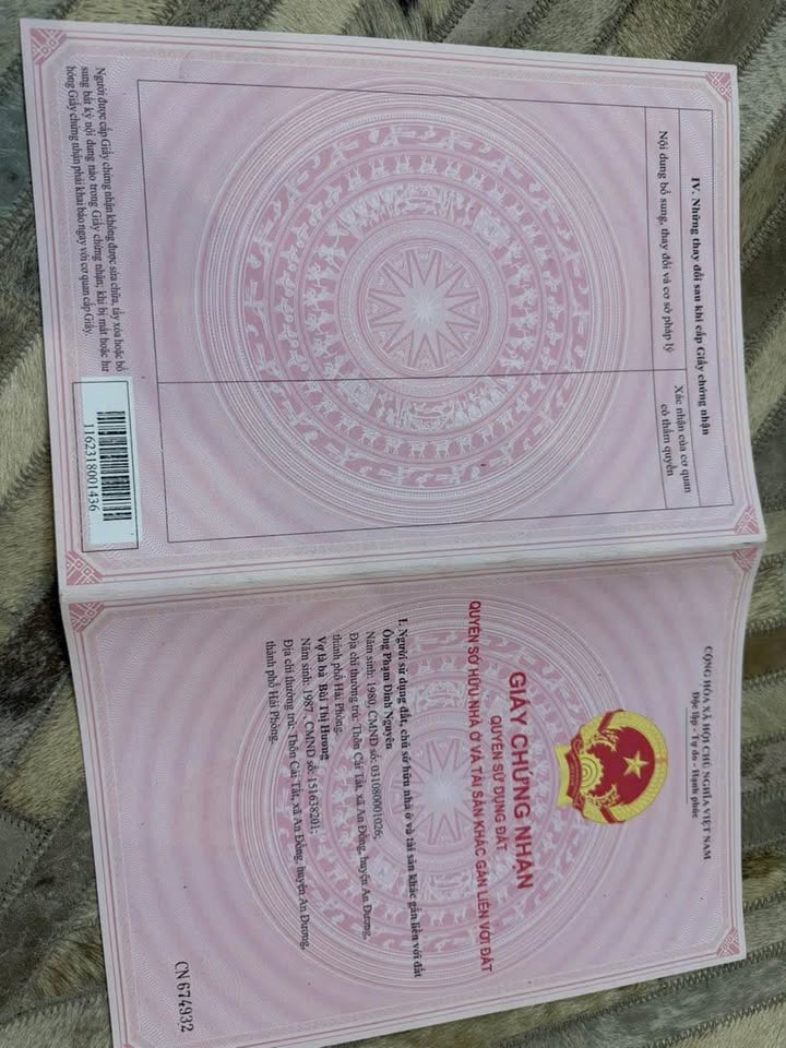 Đất nền Cái Tắt Hải Phòng 100m² - Kinh doanh sầm uất, giá 5 tỷ