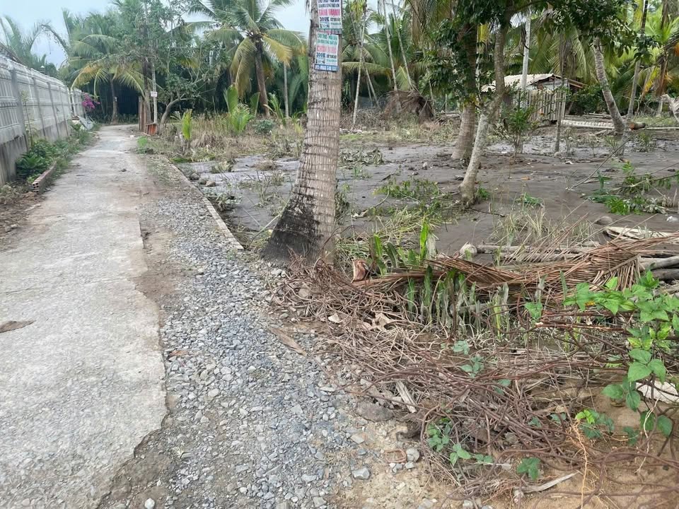 Đất nền Cần Giuộc 608m² giá 550 triệu - Tiềm năng tăng giá!