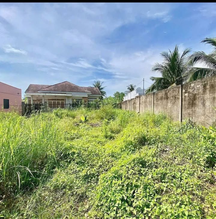 Đất nền Phường 7 Bến Tre 123m² - Sổ đỏ chính chủ, giá 470 triệu