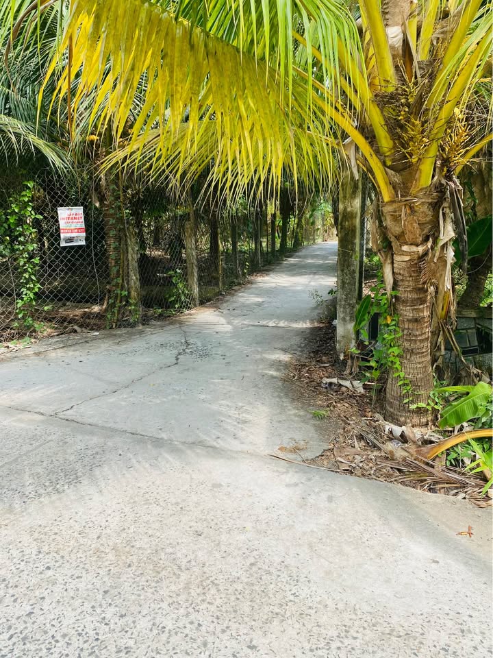 Bán Gấp Dãy Trọ 350m² Xã An Khánh, Châu Thành - Giá 1.6 Tỷ