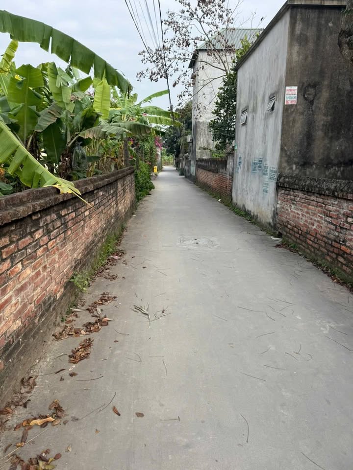 Đất Nền Bình Giang 79m² - Sổ Hồng Sẵn Sàng - Đầu Tư Sinh Lời