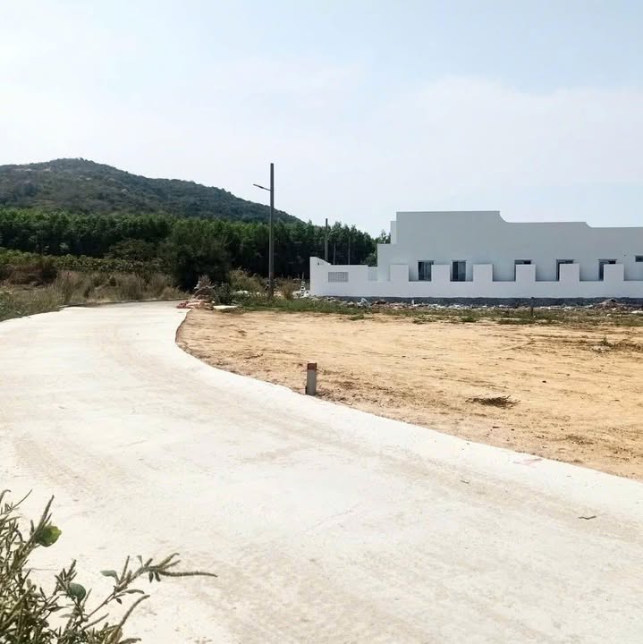 Đất Vũng Tàu 200m² Mặt Tiền Đường Bê Tông - Giá 850 Triệu Có Bớt Lộc