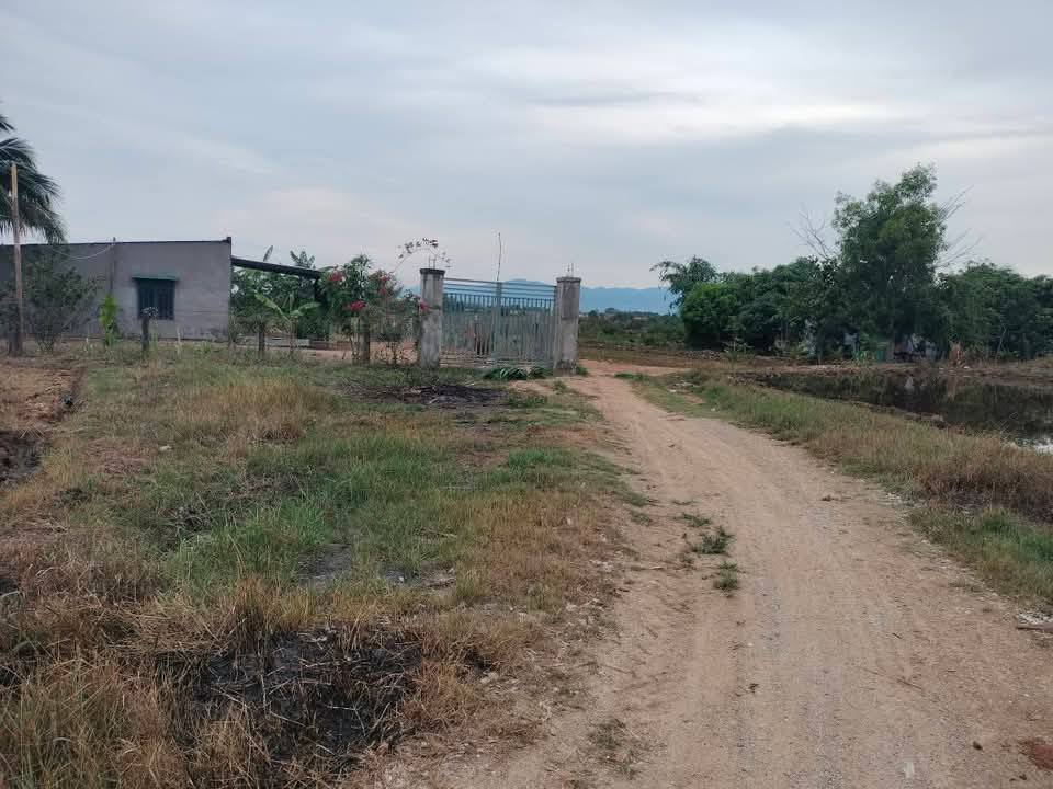 Đất nông nghiệp Lương Sơn 1448m² - Giá chỉ 1xx triệu, Sổ đỏ chính chủ!